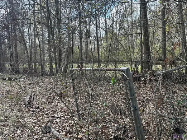 $39,900 | 4157 Kleinpeter Lane, Ethel, LA 70730