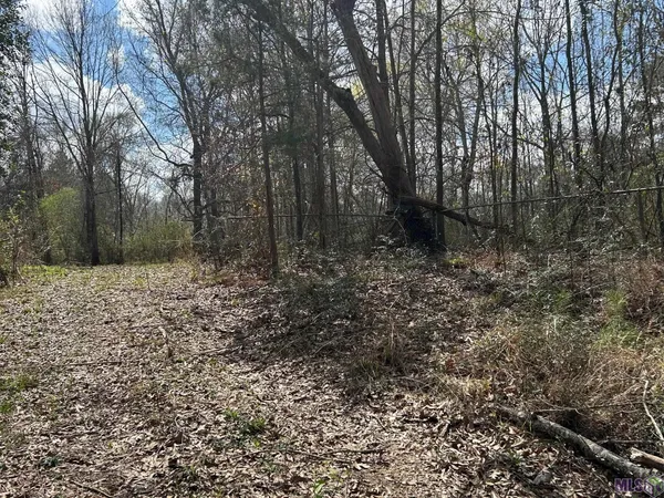 $39,900 | 4157 Kleinpeter Lane, Ethel, LA 70730