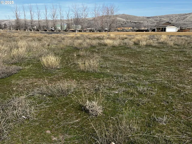 a view of a lake with houses in the background