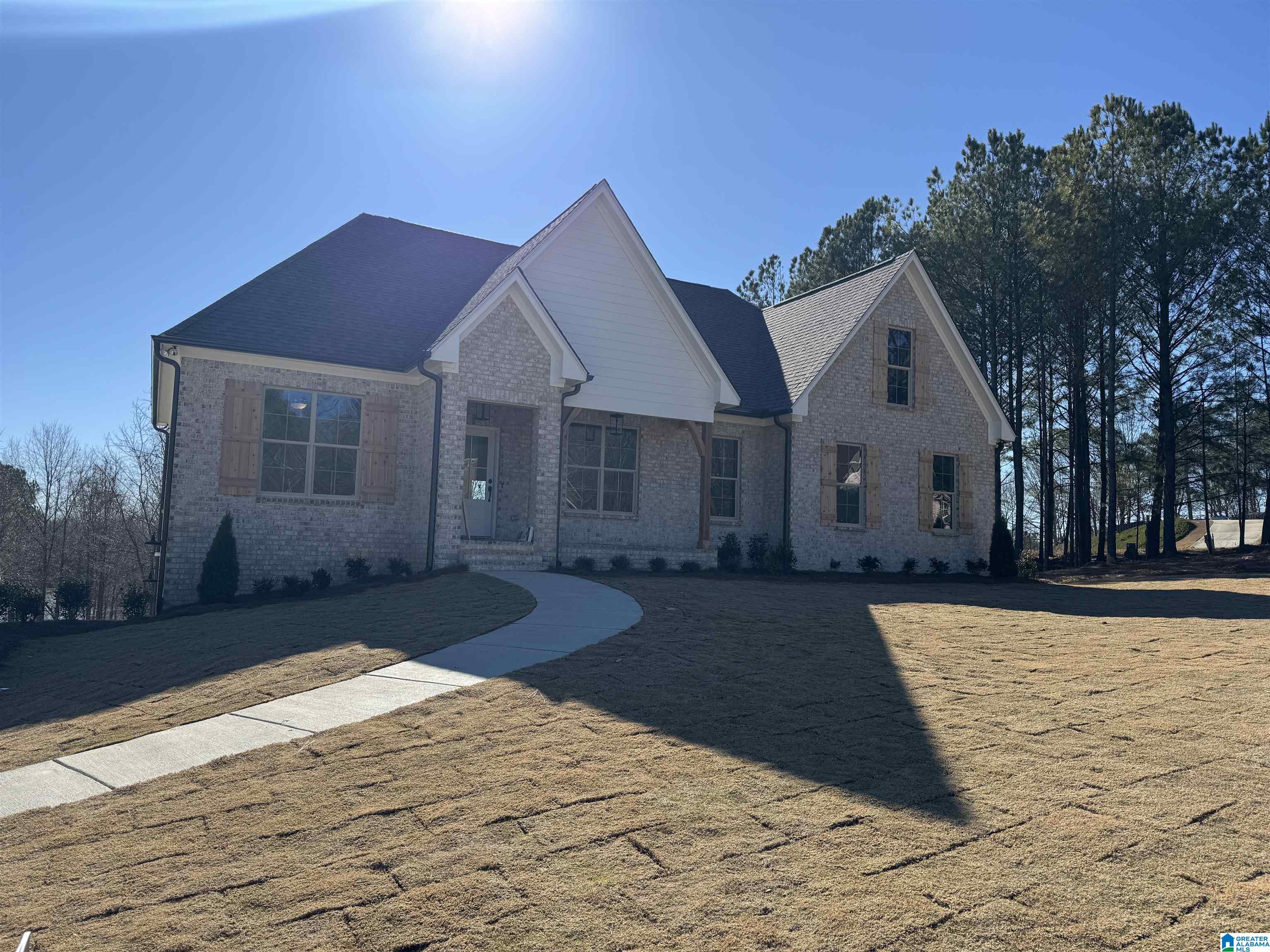 320 Emerald Lane Chelsea, AL 35043 - Photo 1 of 17