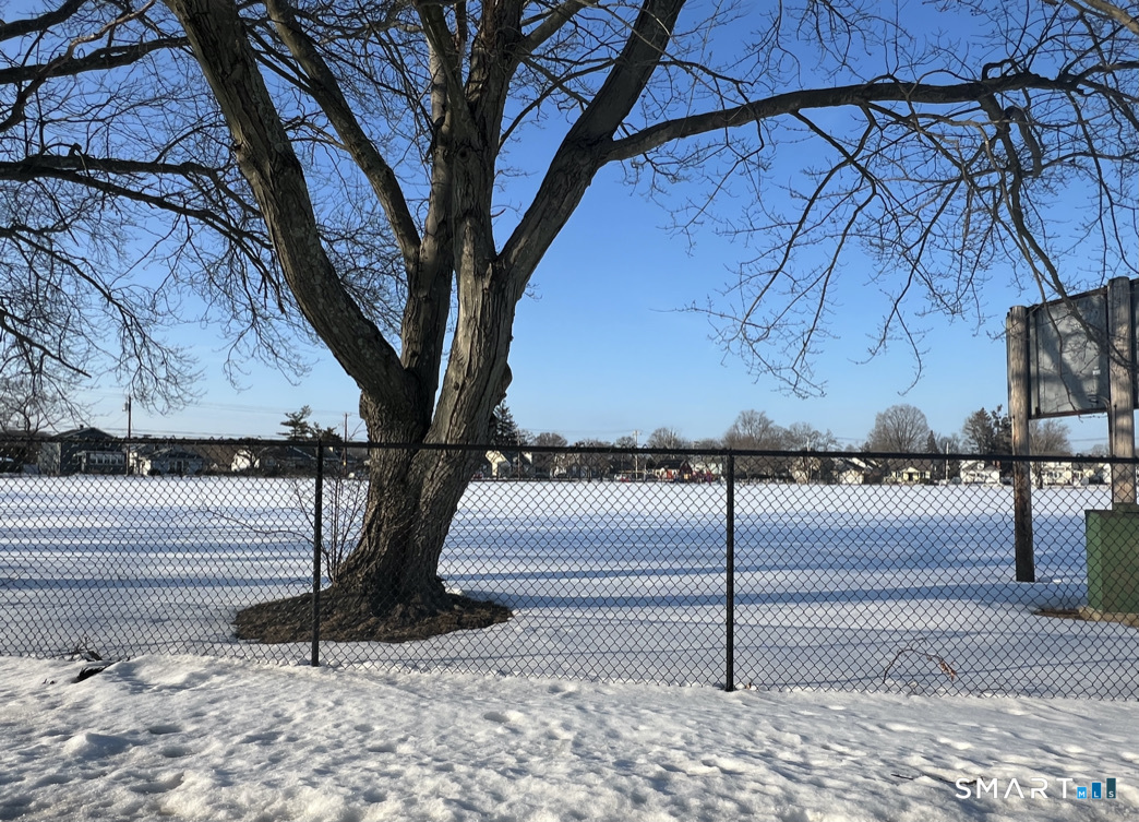 8 Roma Street, Unit 8 East Haven, CT 06512 - Photo 3 of 26 a view of a yard with a tree