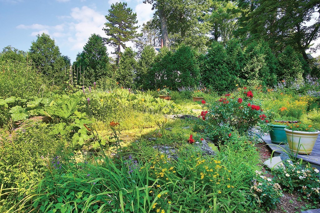161 Pine Ridge Road Newton, MA 02468 - Photo 12 of 13