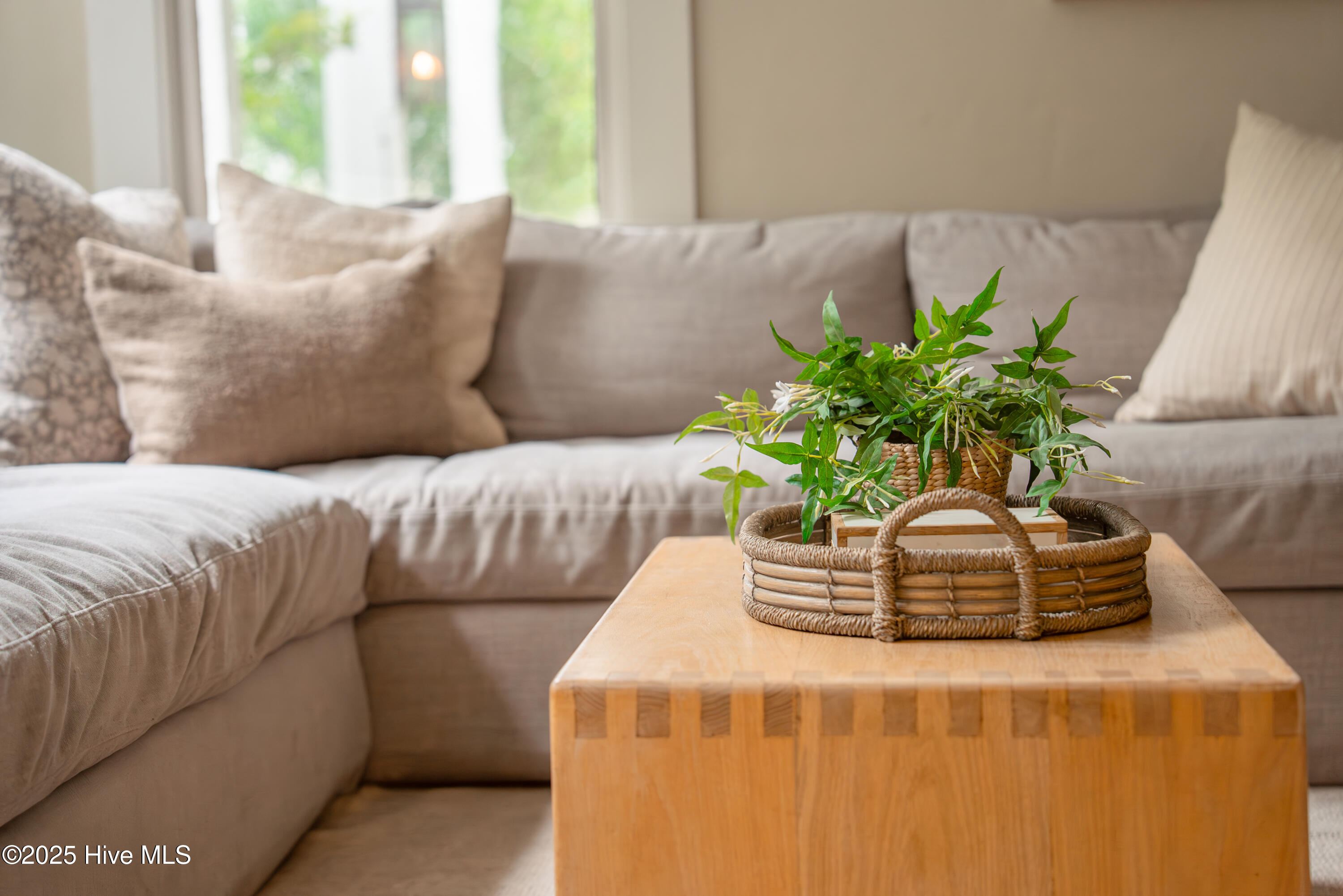 1711 Princess Street Wilmington, NC 28405 - Photo 14 of 68 18.2_1711 Princess St. Edited-09