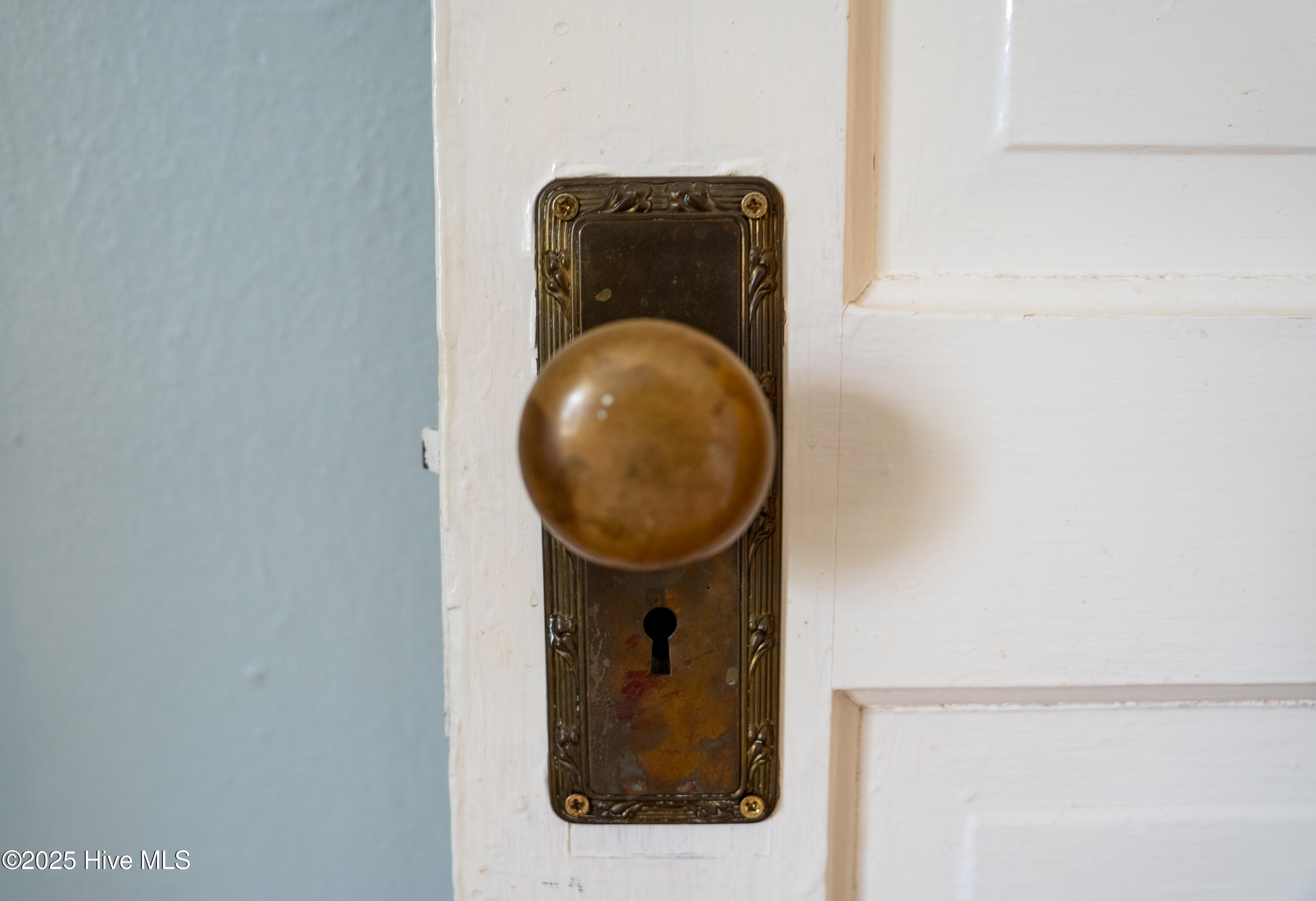 1711 Princess Street Wilmington, NC 28405 - Photo 45 of 68 62.2Copy of 31.11711 Princess St. Edited