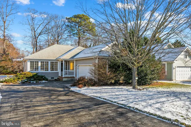 a living room filled with furniture and a potted plant