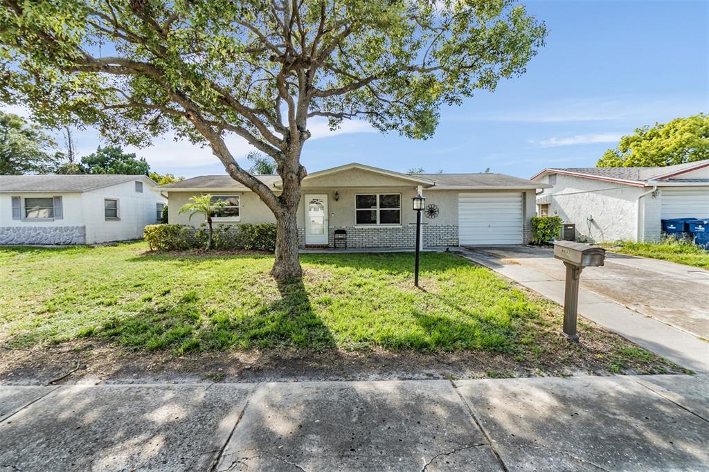 a front view of house with yard and green space
