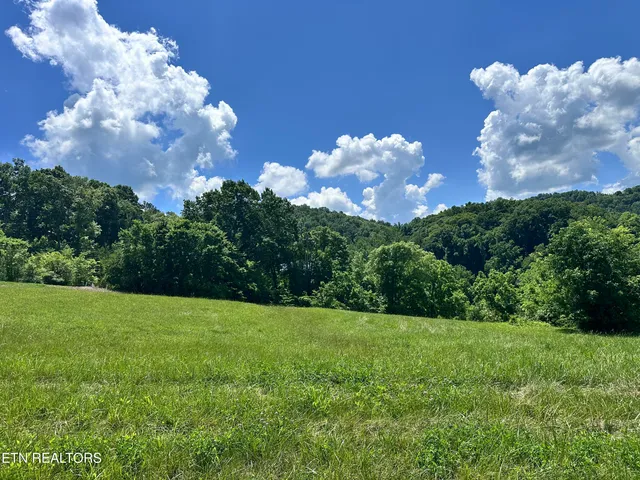 $45,000 | Lot 161 Garfield Lane, Sharps Chapel, TN 37866