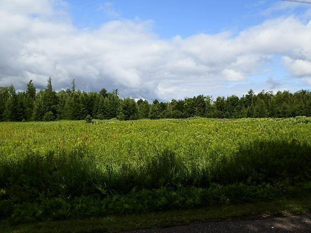 W6530 Old 182 Road Park Falls, WI 54552 - Photo 4 of 22 Gallery Image 4