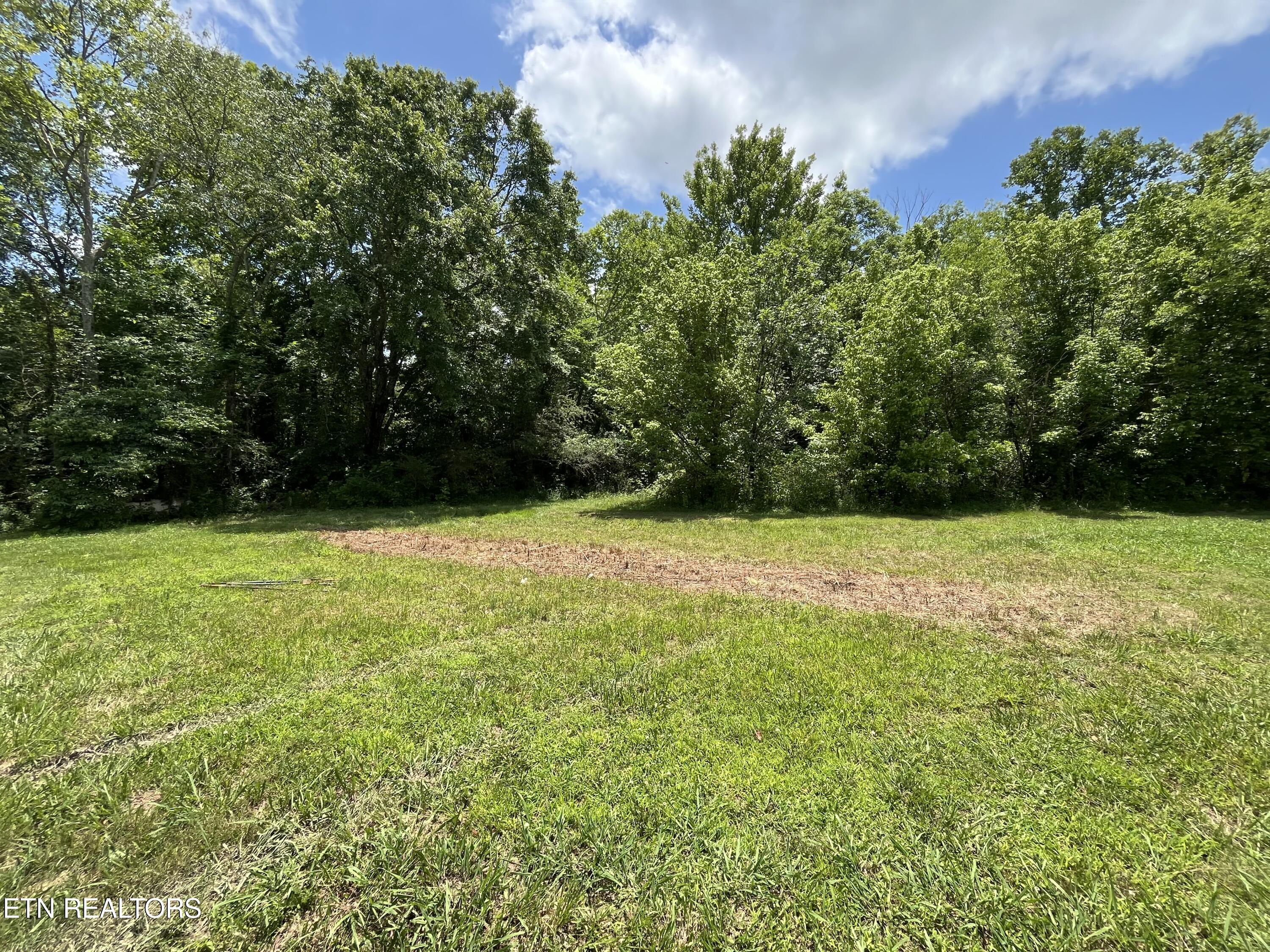 1695 Jordan Road Decatur, TN 37322 - Photo 8 of 43 IMG_5107
