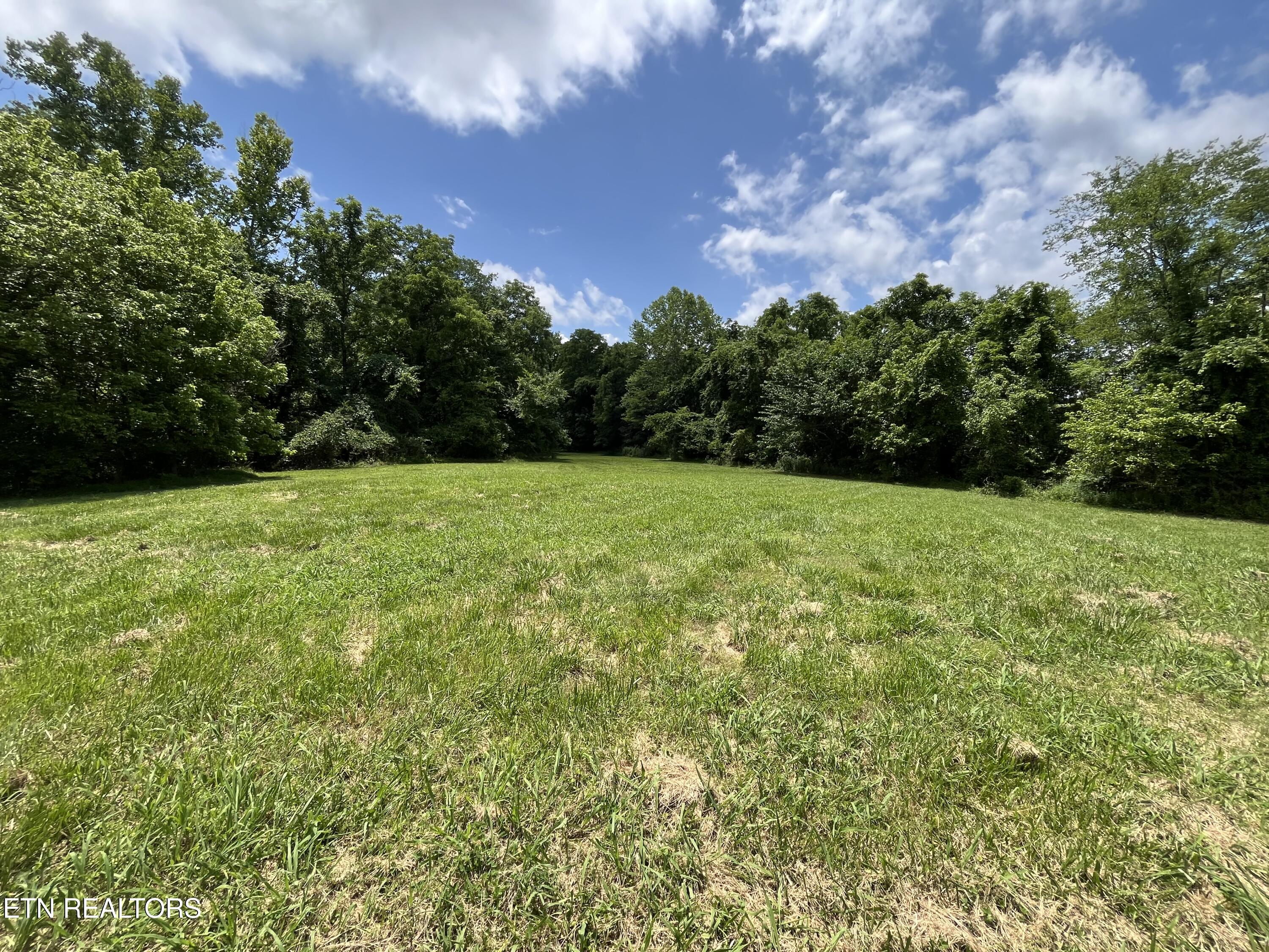 1695 Jordan Road Decatur, TN 37322 - Photo 10 of 43 IMG_5109