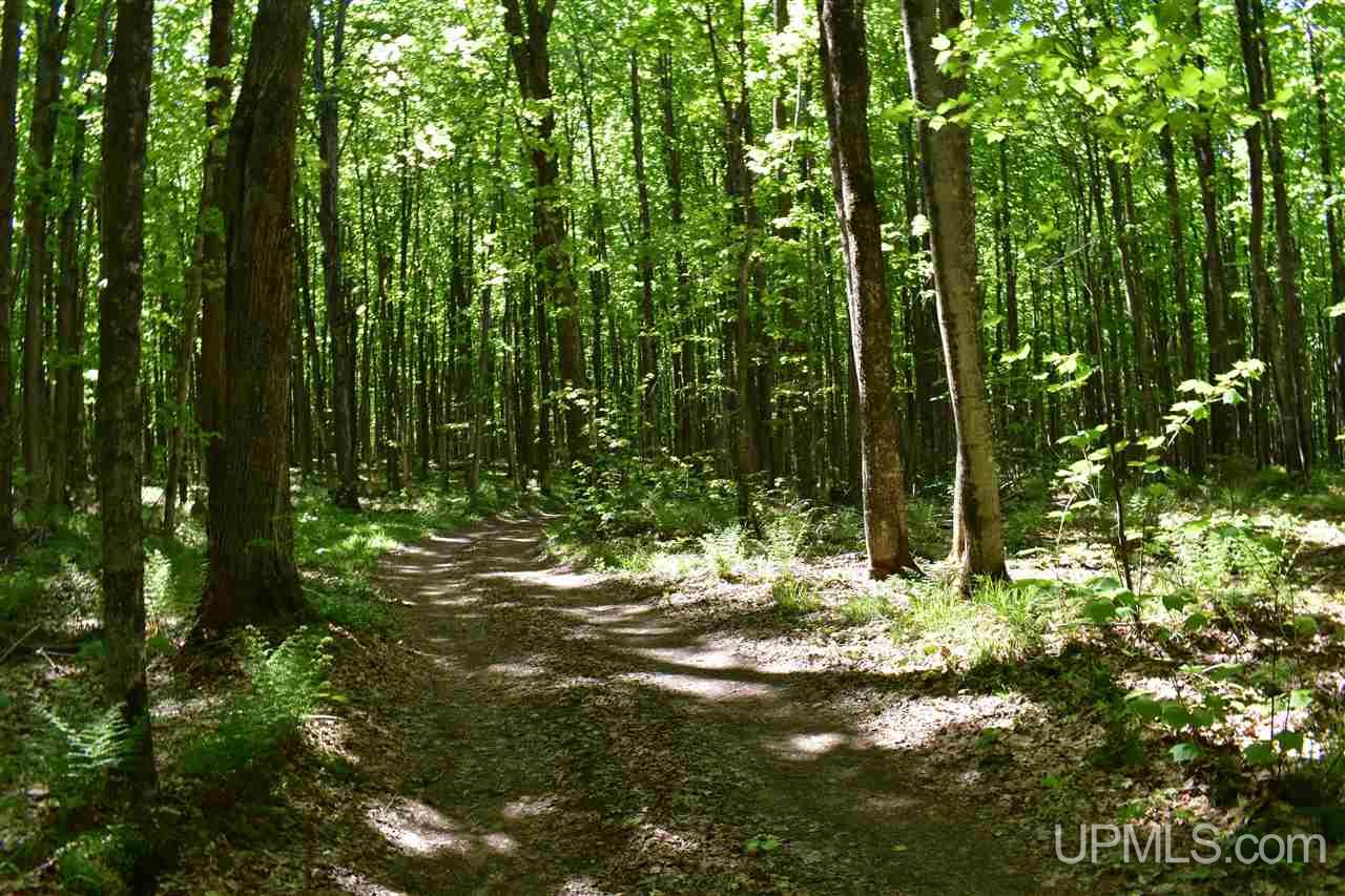 24-acres Co Rd Kb Big Bay, MI 49808 - Photo 35 of 50