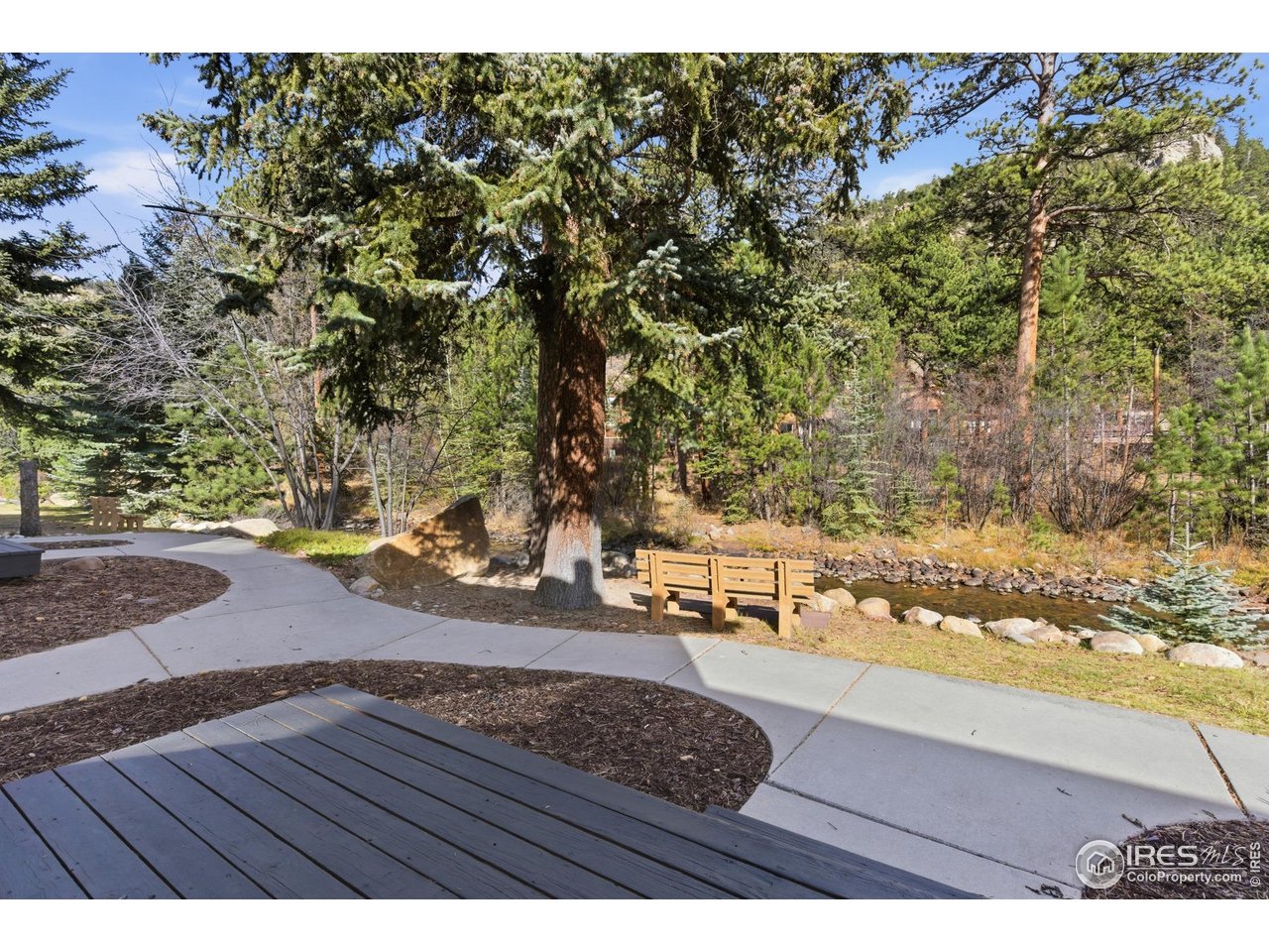 2120 Fall River Road, Unit 2 Estes Park, CO 80517 - Photo 22 of 28 a view of yard along with trees