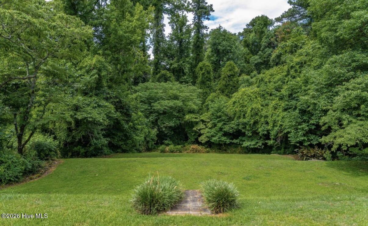 303 McReynolds Street Carthage, NC 28327 - Photo 53 of 60 303 McReynolds