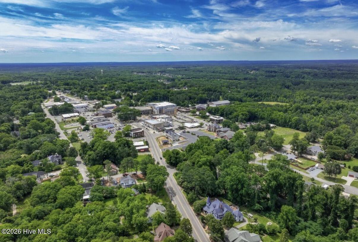 303 McReynolds Street Carthage, NC 28327 - Photo 56 of 60 303 McReynolds