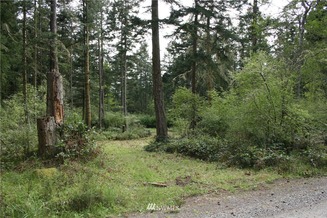 25 Centerview Road Anacortes, WA 98221 - Photo 2 of 11