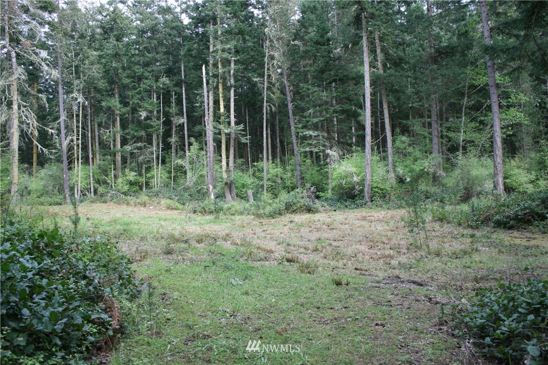 25 Centerview Road Anacortes, WA 98221 - Photo 8 of 11