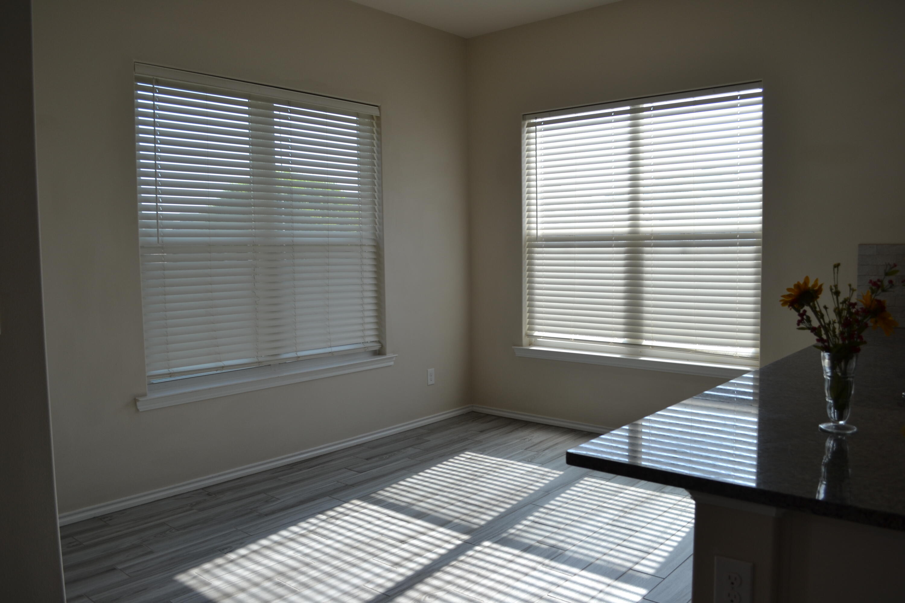 7408 99th Street Lubbock, TX 79424 - Photo 23 of 41 DSC_0685