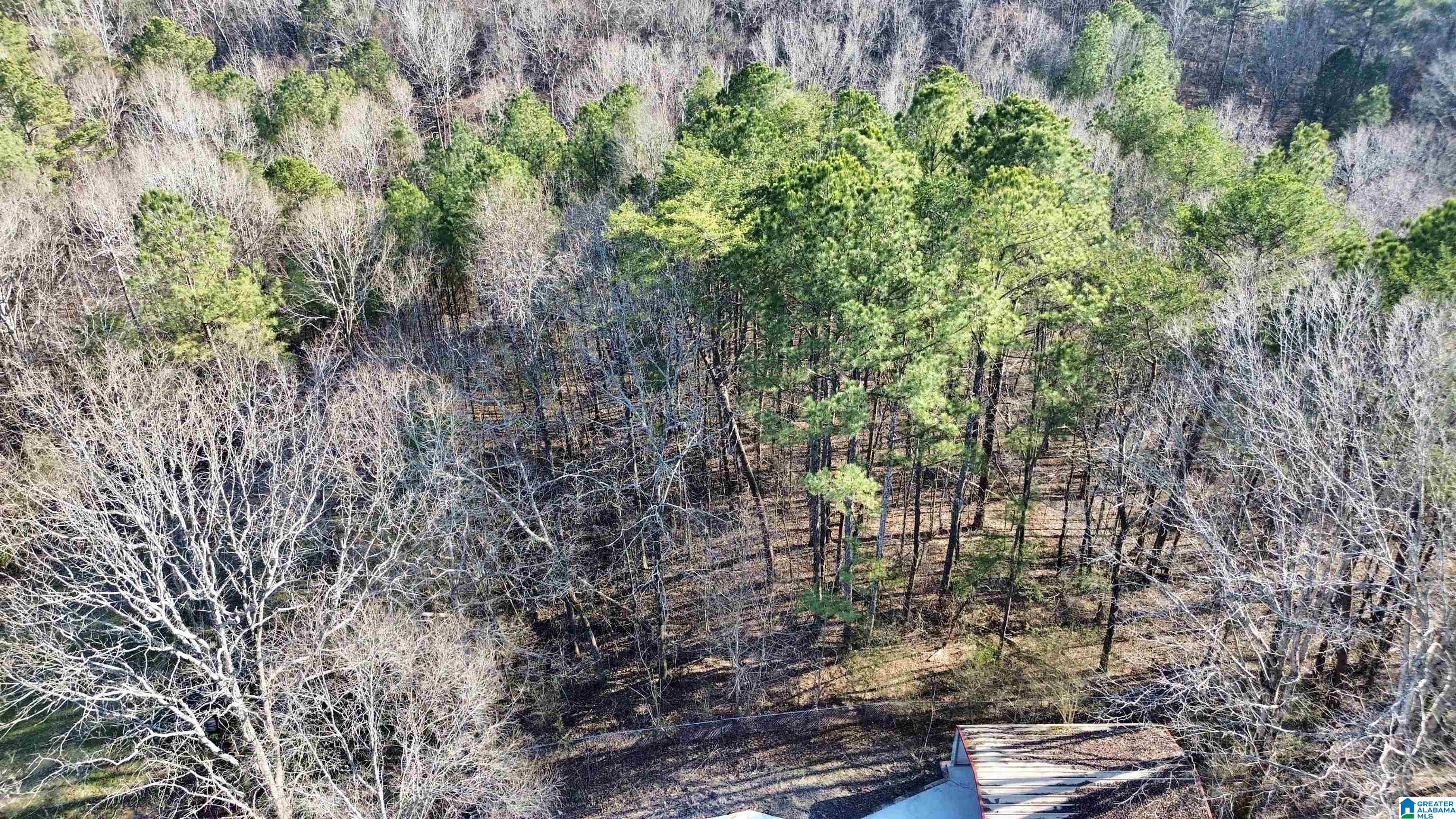 380 White Springs Road Warrior, AL 35180 - Photo 9 of 53