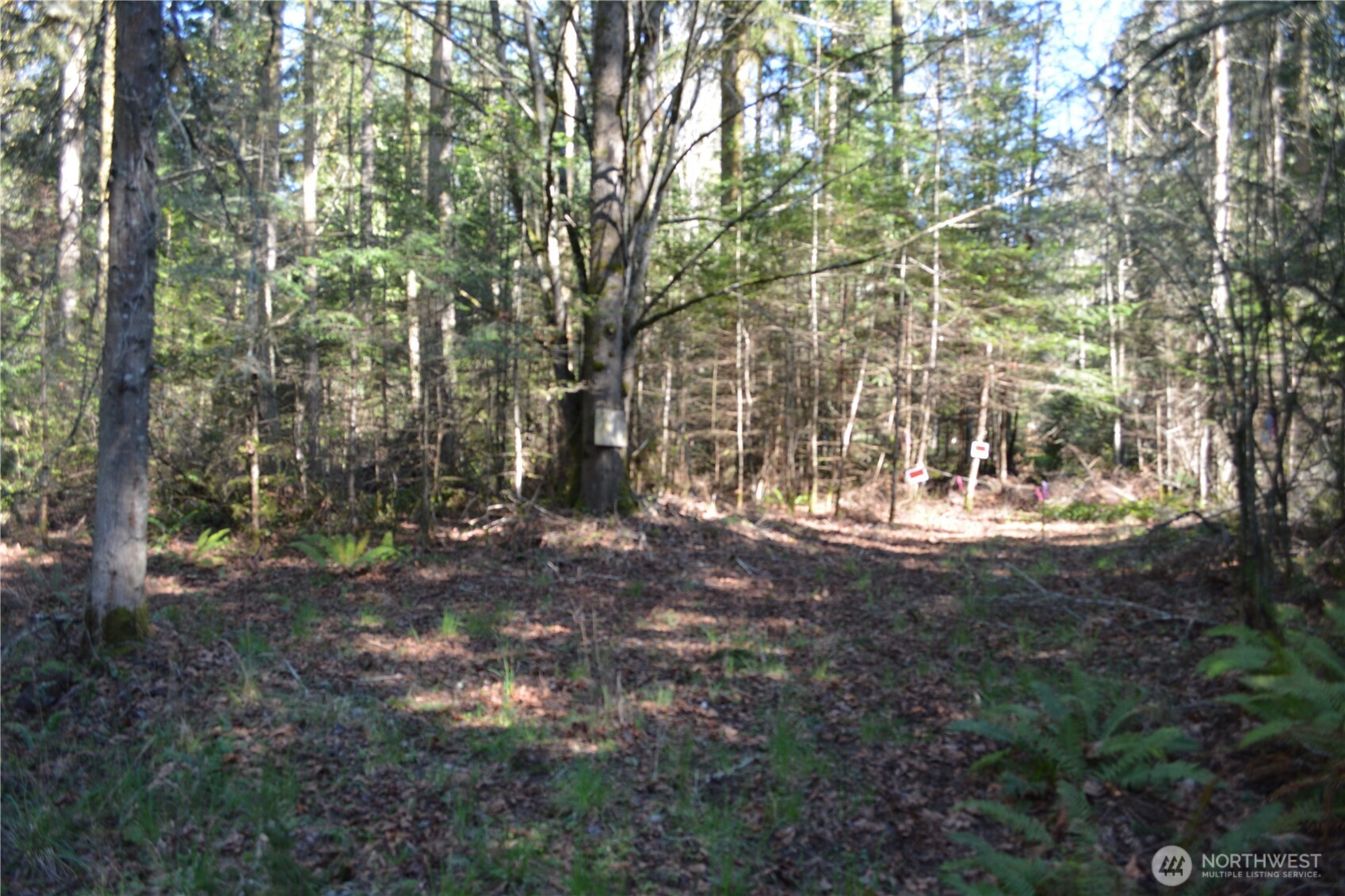 999 East Sequim Bay Road Sequim, WA 98382 - Photo 10 of 22 Gallery Image 10