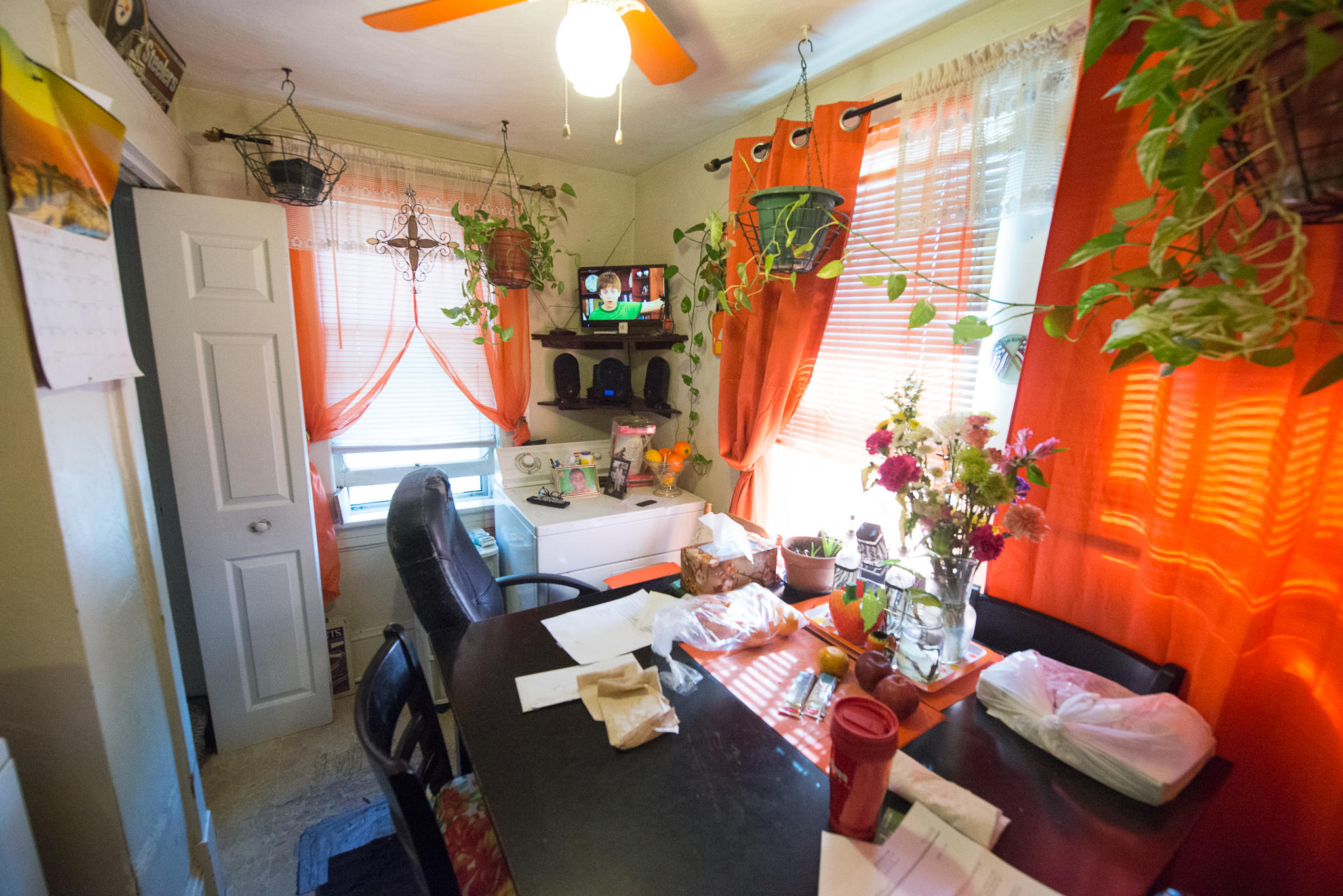 503 Rutherford Avenue Northwest Roanoke, VA 24016 - Photo 34 of 40 20160211-_DSC3749