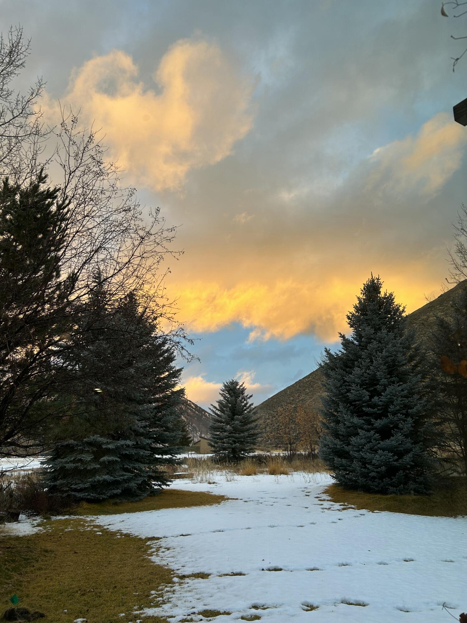 101 Dogwood Road Hailey, ID 83333 - Photo 32 of 34 Backyard Sunset