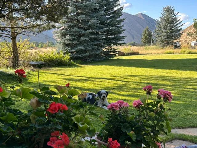 $1,295,000 | 101 Dogwood Road, Hailey, ID 83333