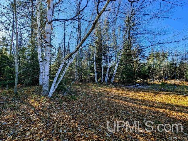6695 County Road CD Ishpeming, MI 49849 - Photo 12 of 40
