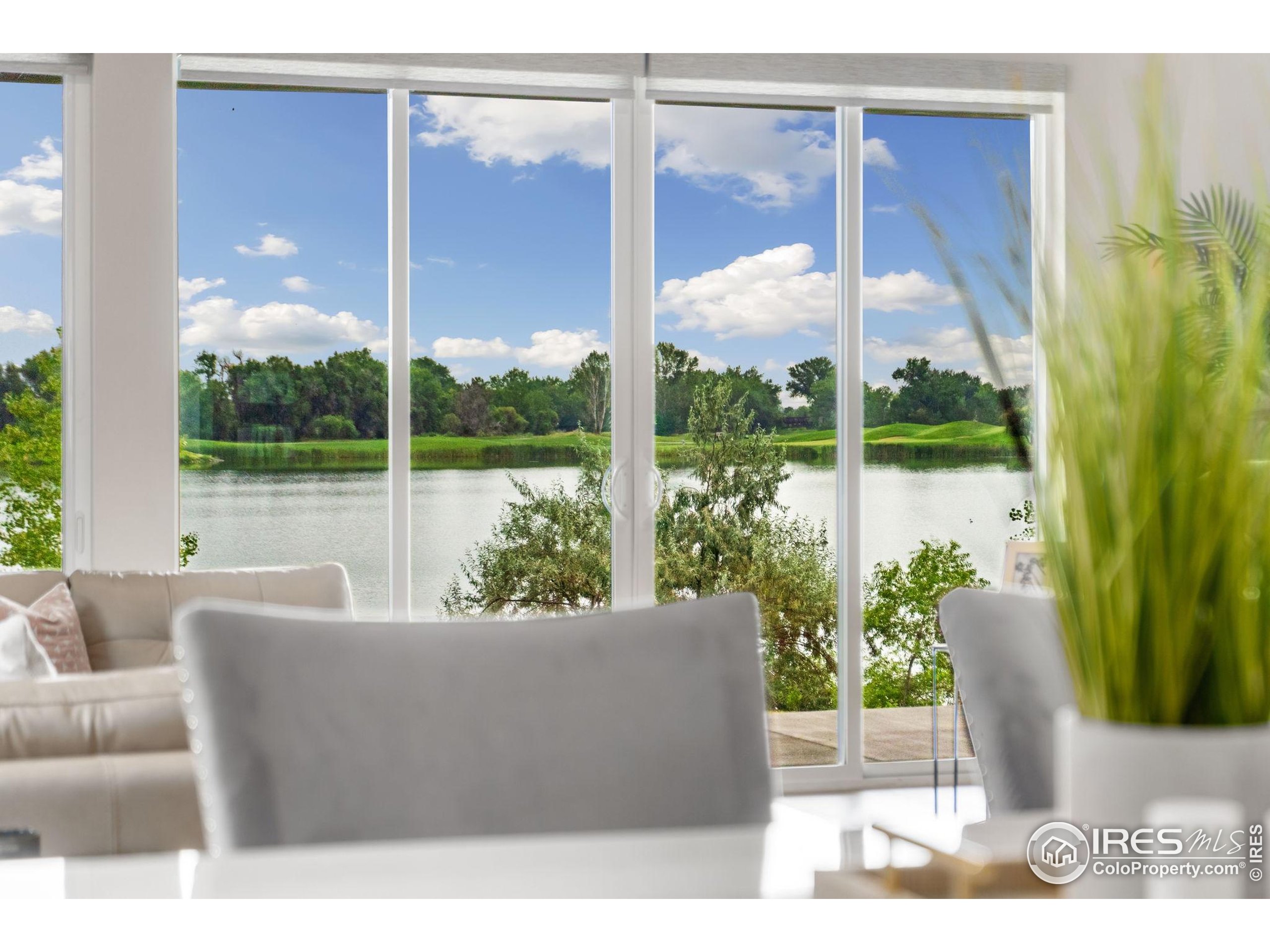 1729 Beachside Drive Windsor, CO 80550 - Photo 15 of 49 a living room with large windows