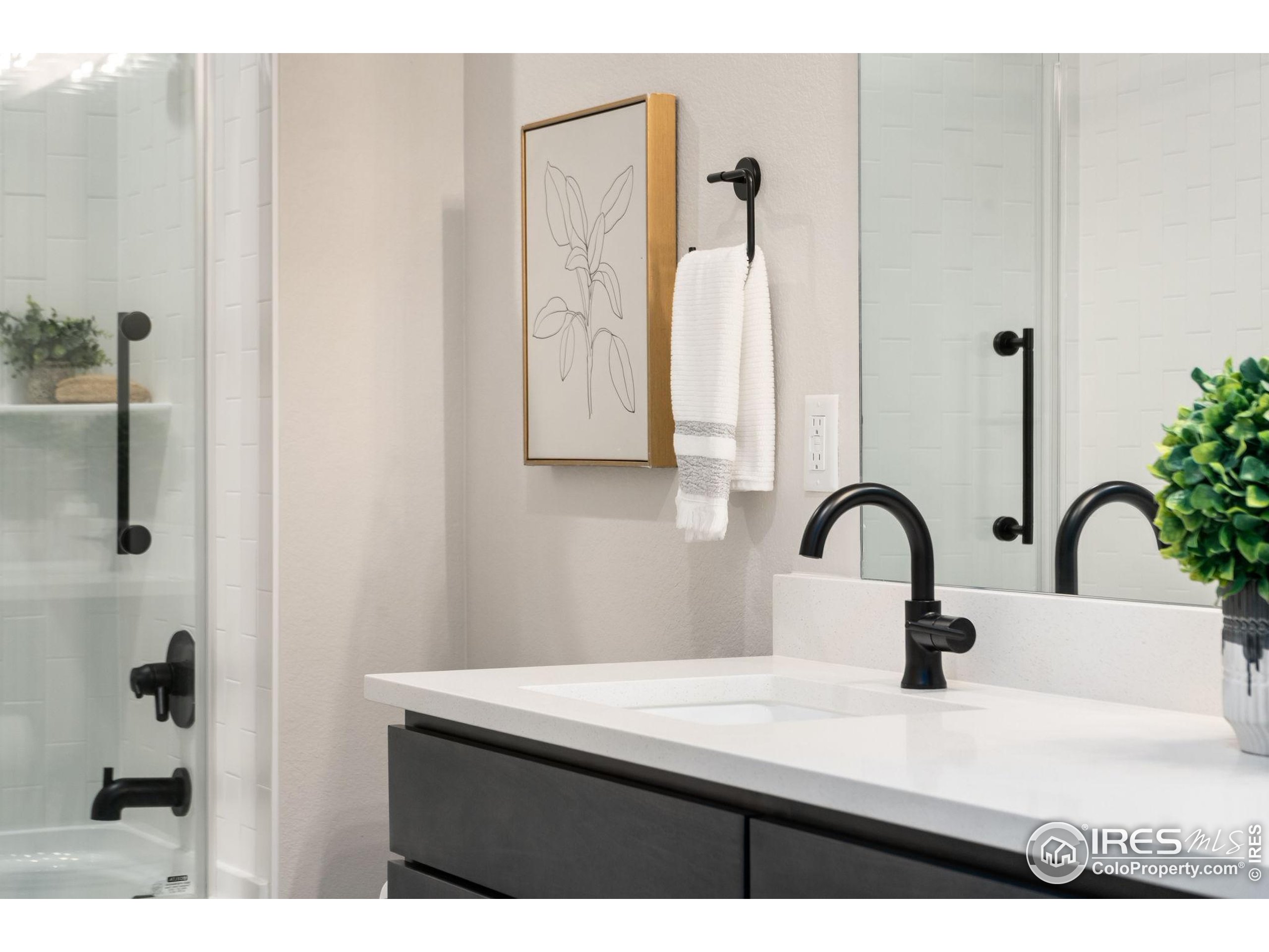 1729 Beachside Drive Windsor, CO 80550 - Photo 36 of 49 a close view of a sink and mirror