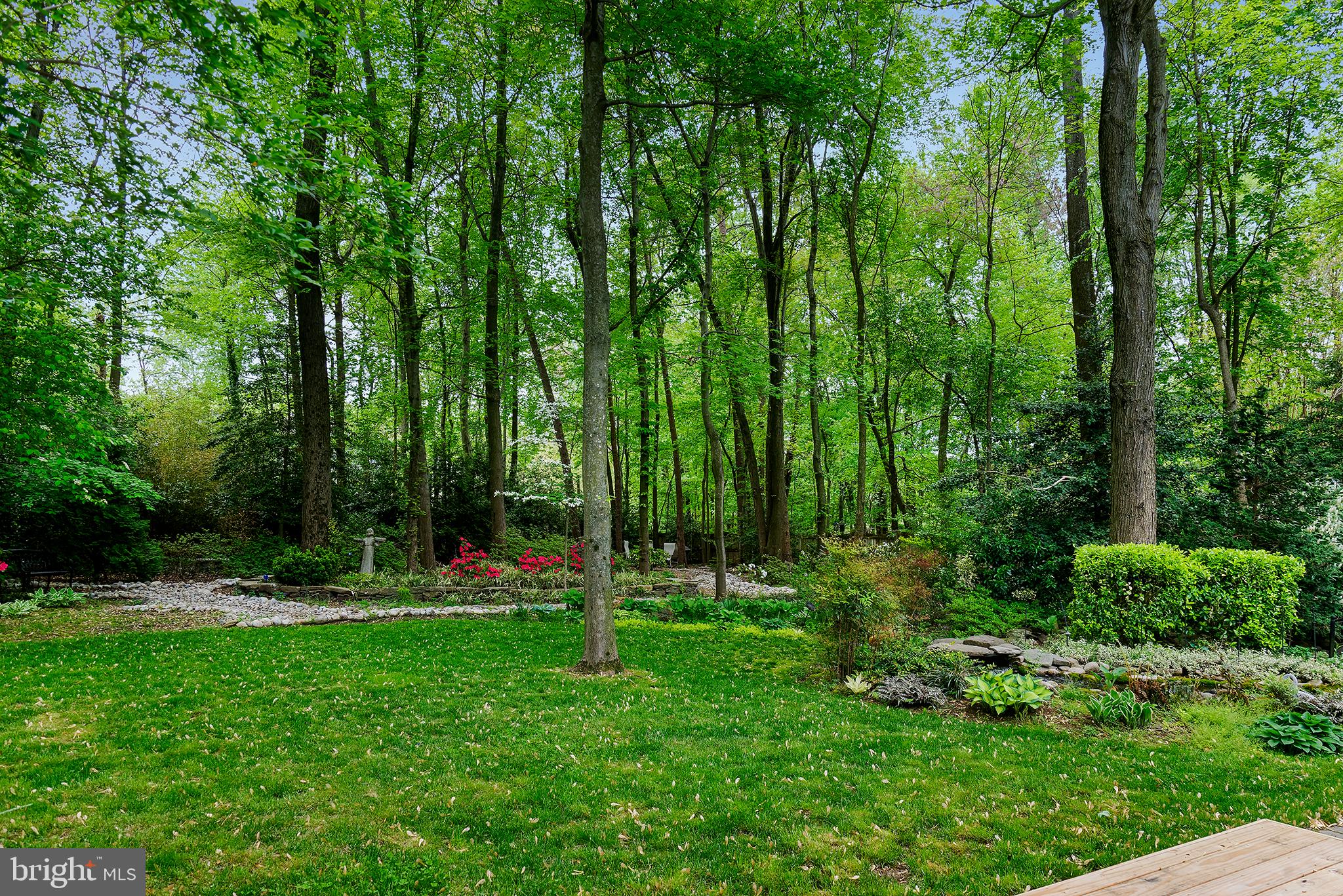 2311 Rosedown Drive Reston, VA 20191 - Photo 3 of 33