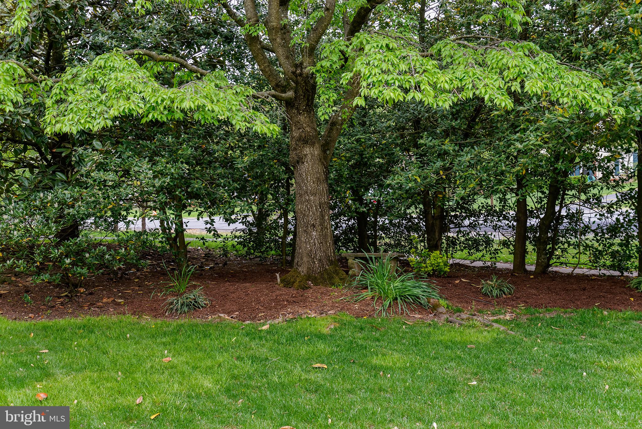 2311 Rosedown Drive Reston, VA 20191 - Photo 30 of 33