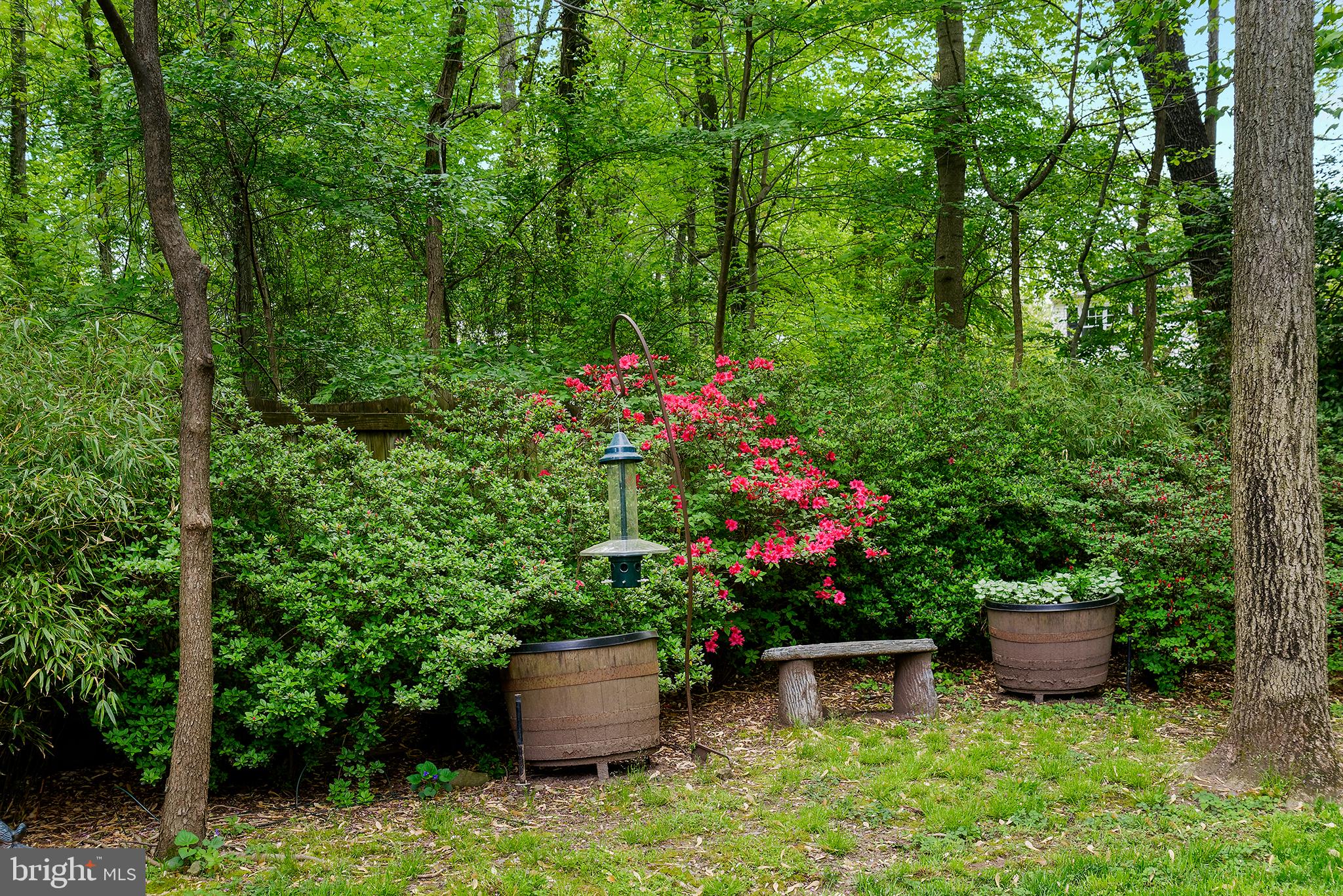2311 Rosedown Drive Reston, VA 20191 - Photo 4 of 33