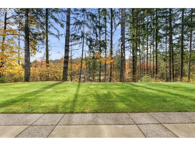 a park with full of palm trees