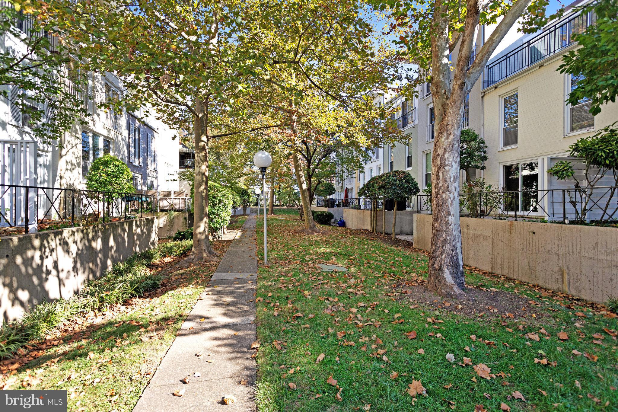 42 G Street Southwest Washington, DC 20024 - Photo 39 of 54 a view of a yard with plants and trees