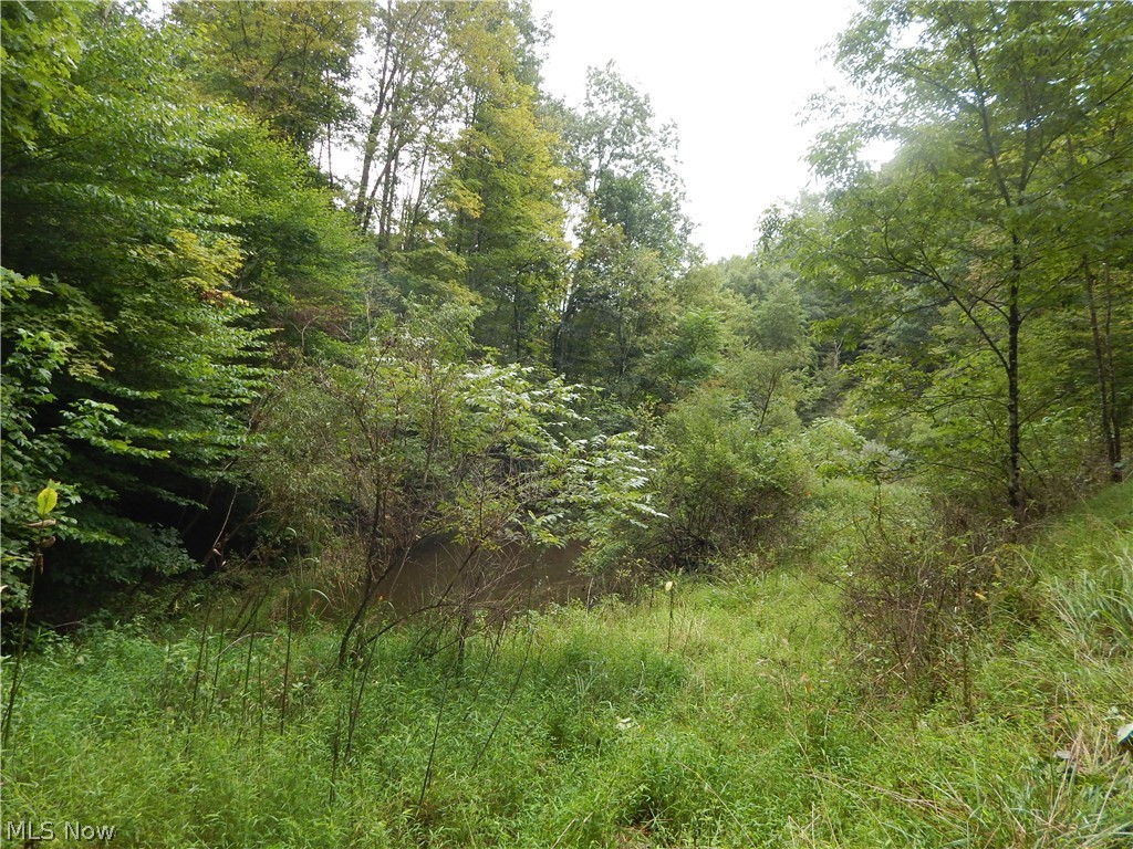 556 Goose Run Road Pullman, WV 26421 - Photo 29 of 35