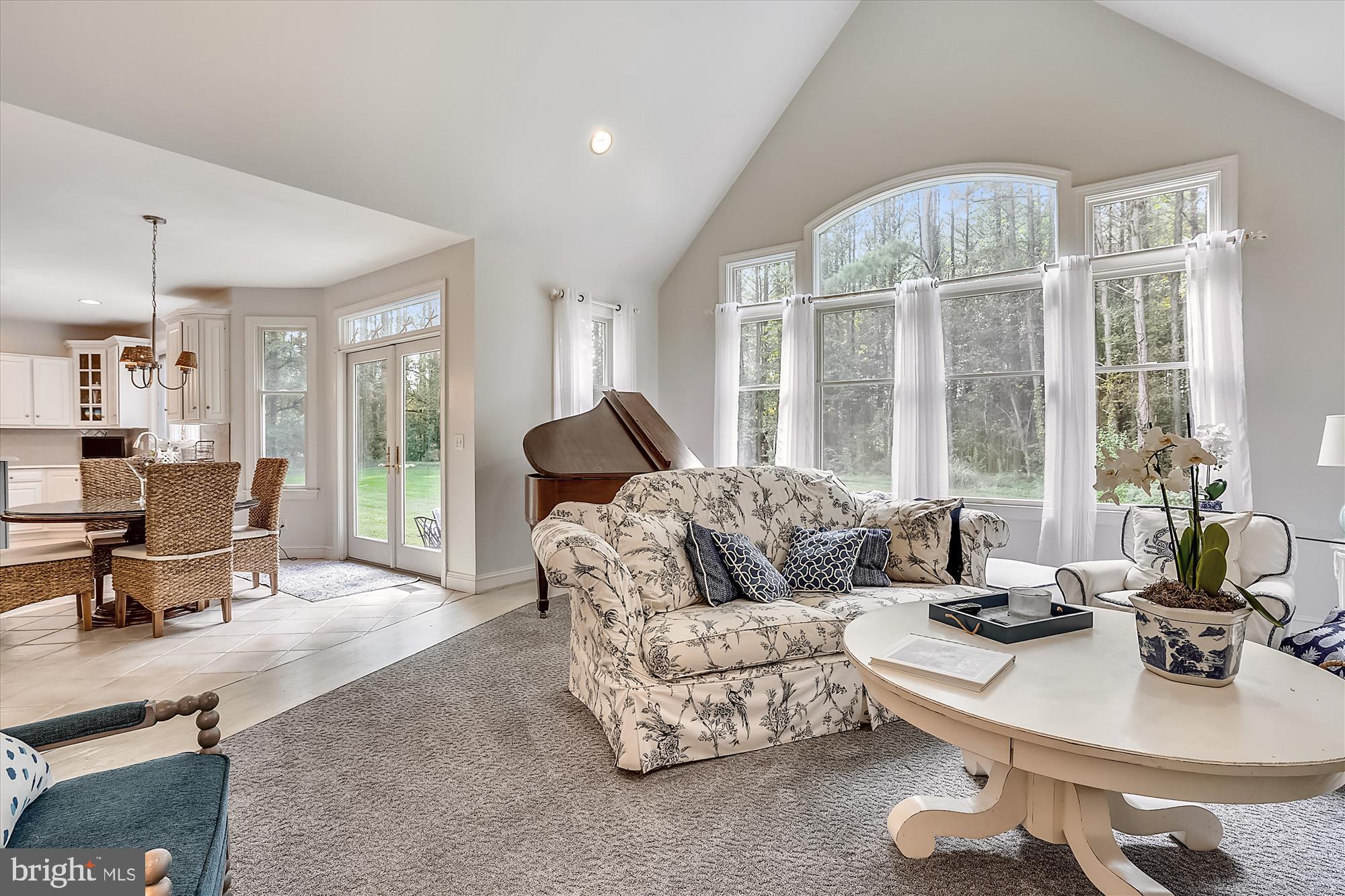 5016 Reed Road Oxford, MD 21654 - Photo 3 of 45 Sunny family room with fireplace