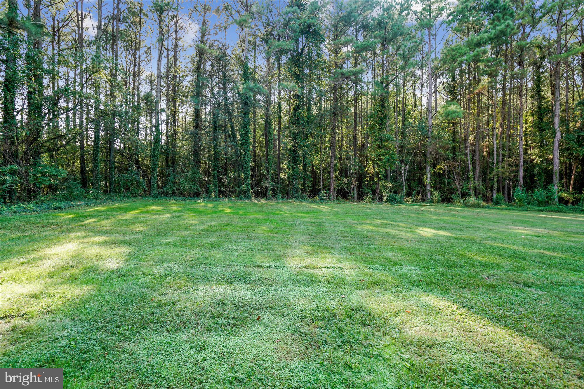 5016 Reed Road Oxford, MD 21654 - Photo 44 of 45 Rear yard backs to woods
