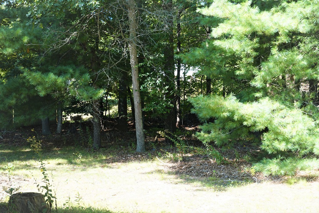 62 Cypress Road Taunton, MA 02780 - Photo 25 of 26 a view of backyard with green space
