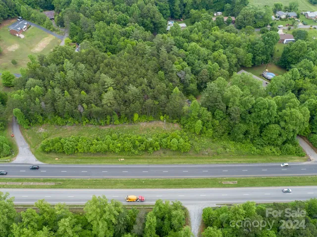 a view of a yard with a large trees