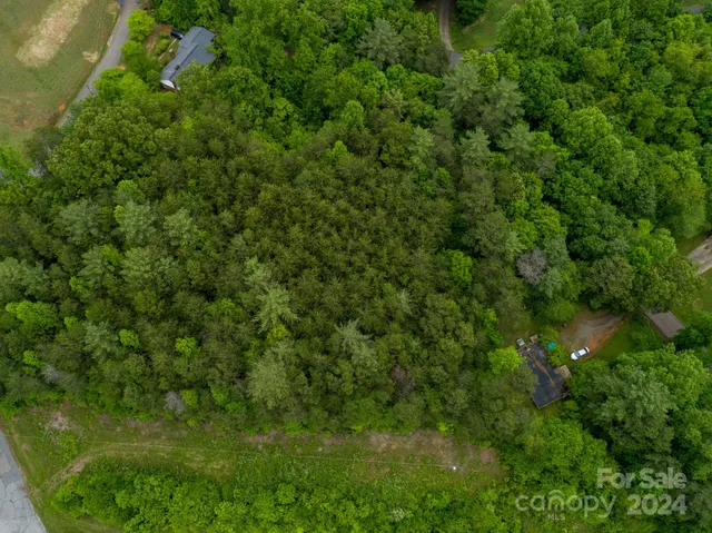 a view of a lush green forest