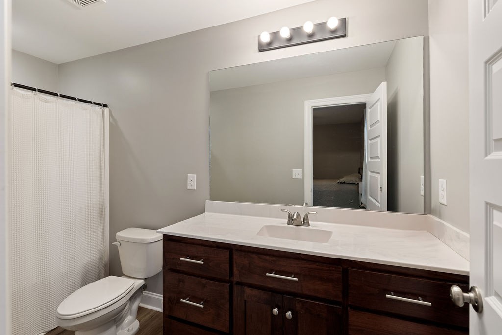 123 Timber Rdg Drive Pulaski, TN 38478 - Photo 15 of 20 a bathroom with a sink a toilet a mirror and vanity