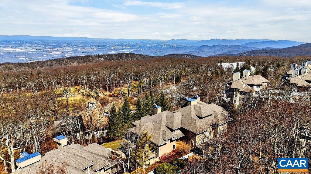 2084 Stone Ridge Wintergreen, VA 22967 - Photo 35 of 41