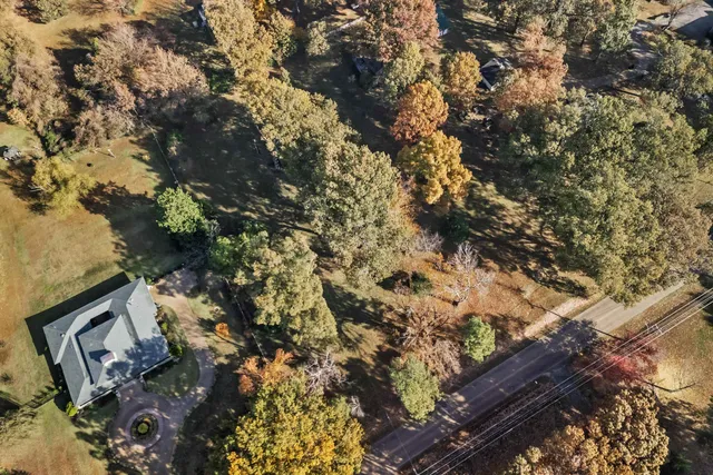 a big yard with lots of green space and trees