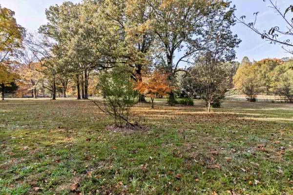 a view of dirt yard with a trees