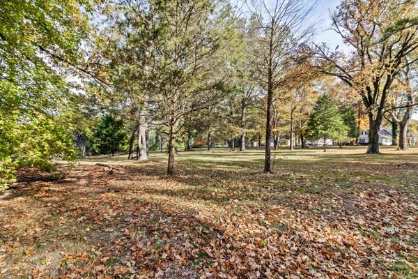 a view of a yard with a tree