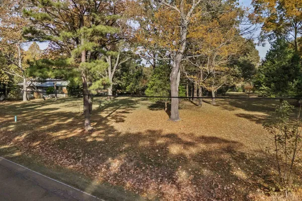 a view of a yard with large trees