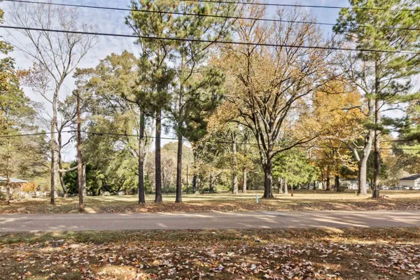 a view of a yard with a tree