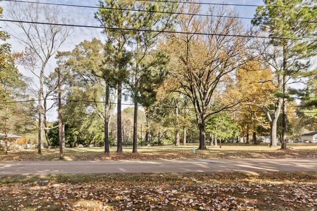 a view of a yard with a tree