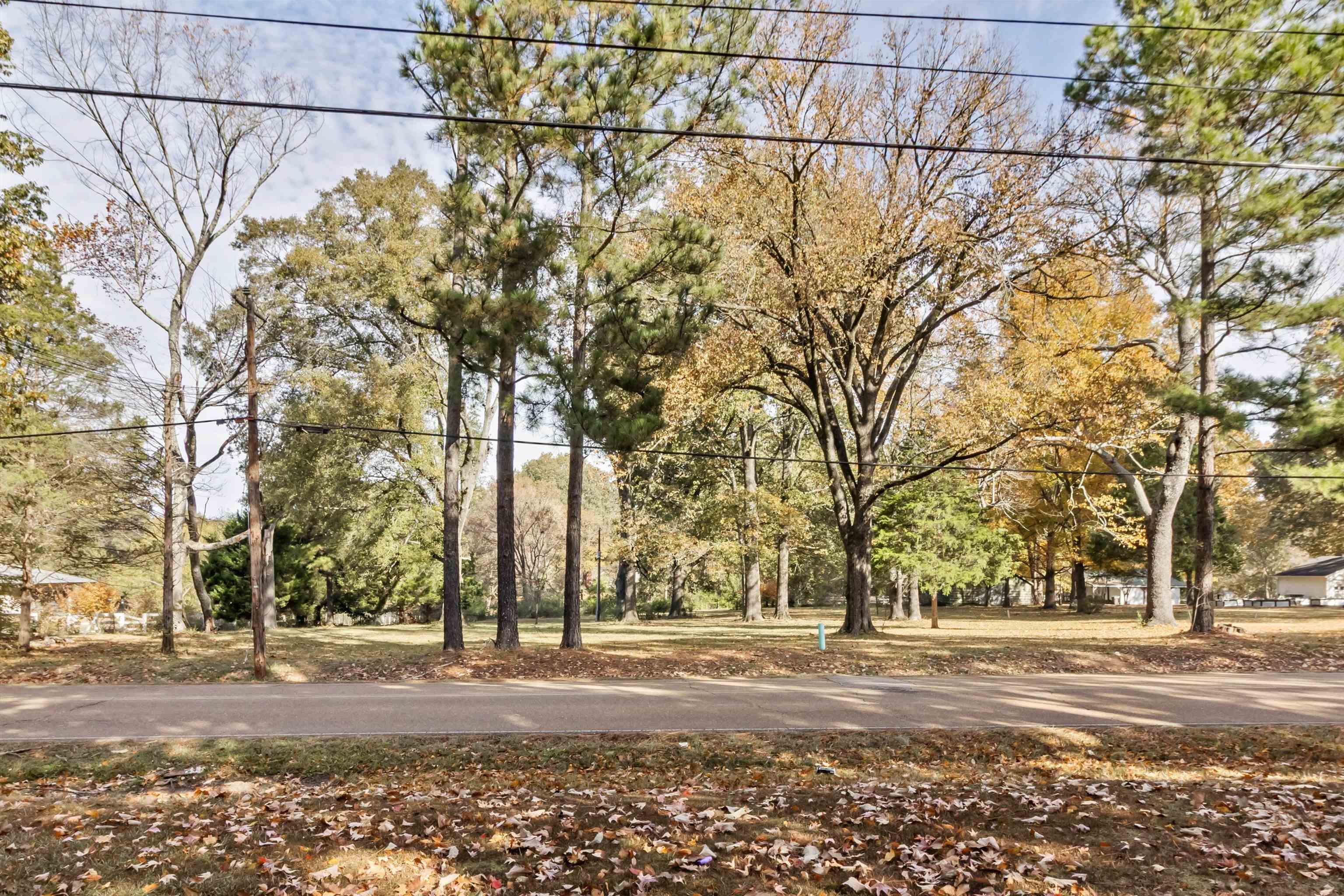 5994 Elmore Road Bartlett, TN 38134 - Photo 10 of 21 View of property's community featuring view of scattered trees