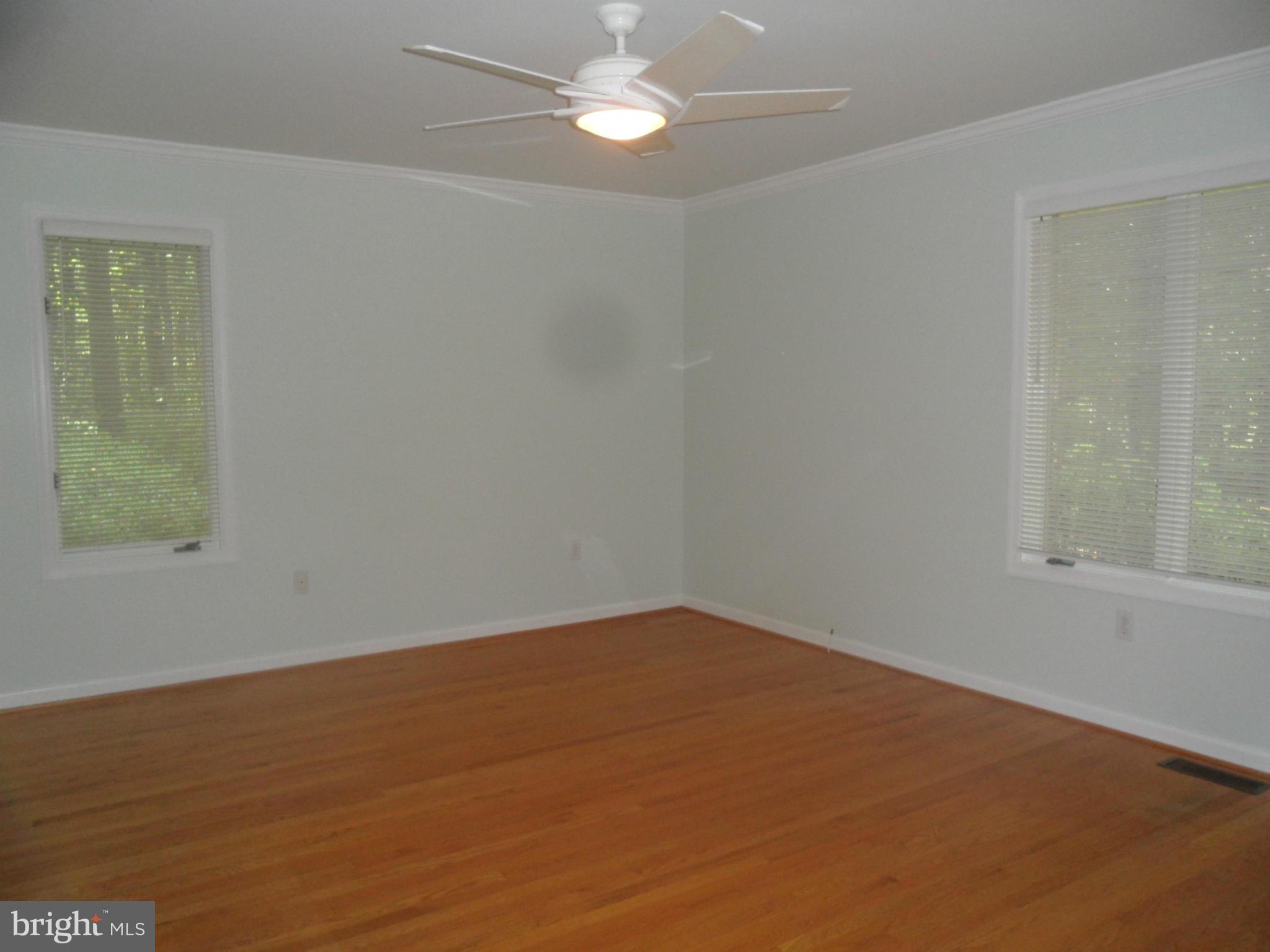 2101 Avoca Lane Silver Spring, MD 20905 - Photo 22 of 30 Master Bedroom Large and Lovely